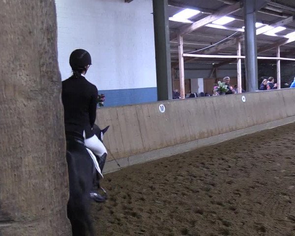 Reitturnier Löwenstedt 2019