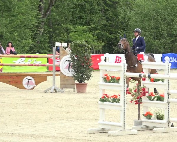 Reitturnier Isny-Rohrdorf 2019