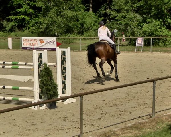 Reitturnier Herxheim 2019