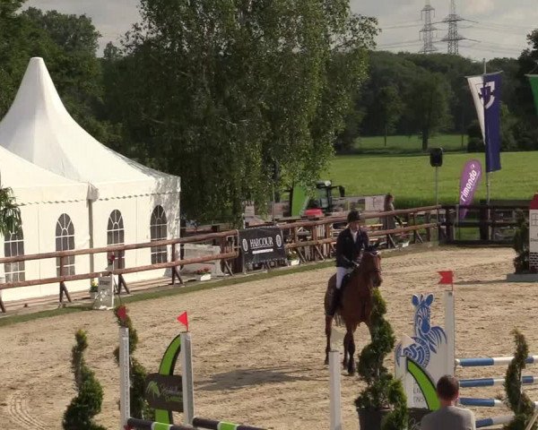 Reitturnier Kirchhellen/Stall Dieckmann 2019