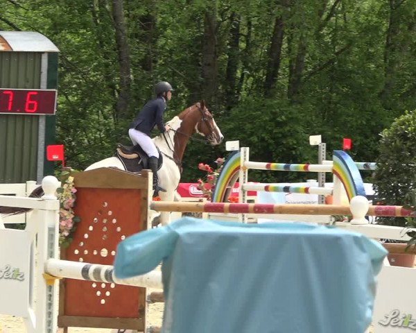 Reitturnier Isny-Rohrdorf 2019