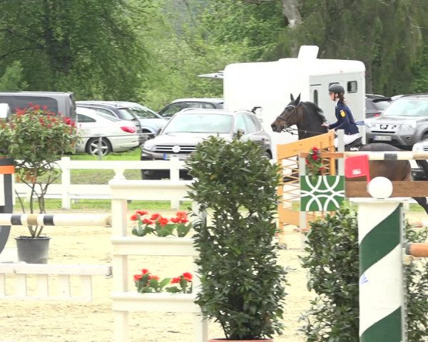 Reitturnier Isny-Rohrdorf 2019