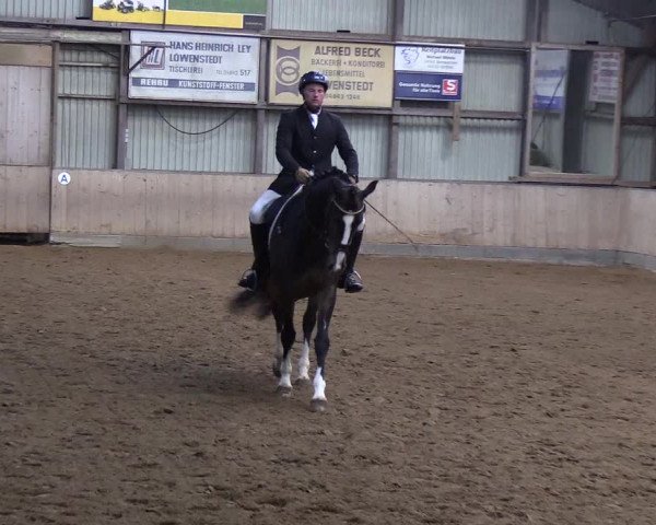 Reitturnier Löwenstedt 2019