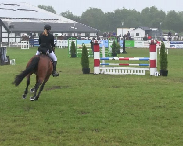 Reitturnier St. Peter-Ording 2019