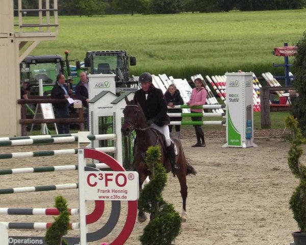 Reitturnier Kirchhellen/Stall Dieckmann 2019