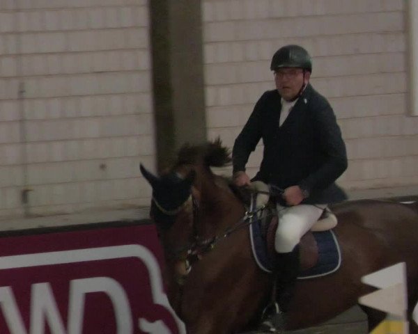 Reitturnier Heilbronn 2021