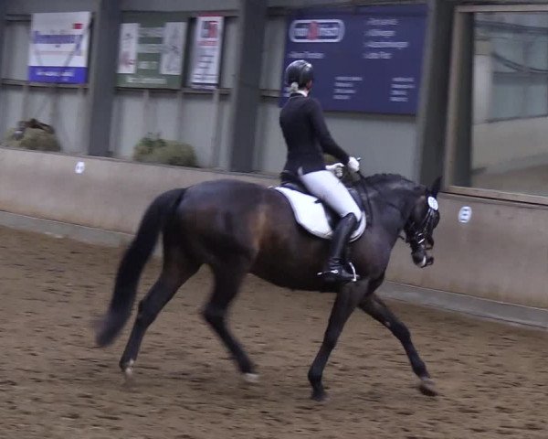 Reitturnier Löwenstedt 2019