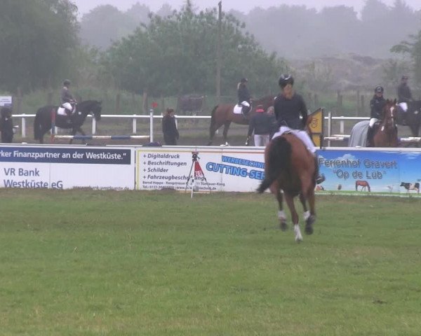 Reitturnier St. Peter-Ording 2019