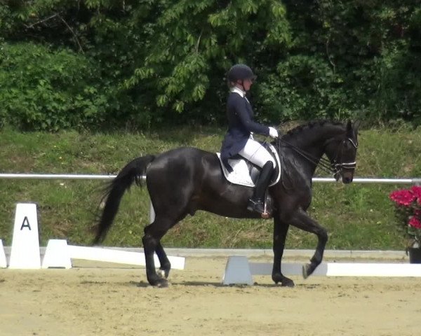 Reitturnier Ladenburg 2019
