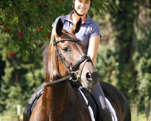 broodmare Soleil (Hanoverian, 1999, from Sao Paulo)