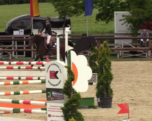 Reitturnier Kirchhellen/Stall Dieckmann 2019