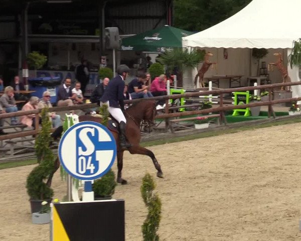 Reitturnier Kirchhellen/Stall Dieckmann 2019