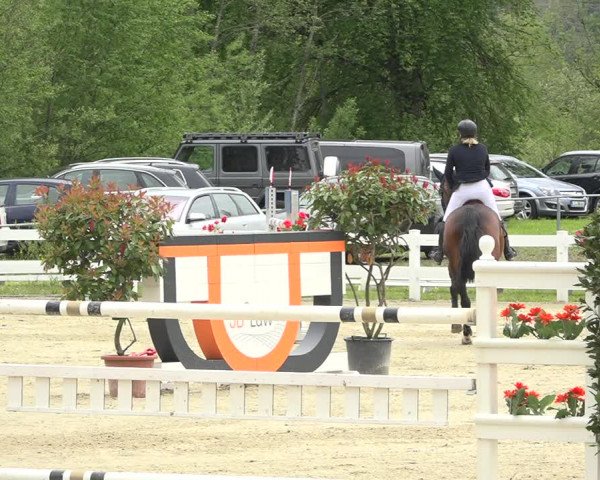 Reitturnier Isny-Rohrdorf 2019