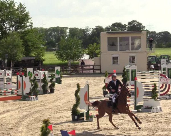 Reitturnier Kirchhellen/Stall Dieckmann 2019