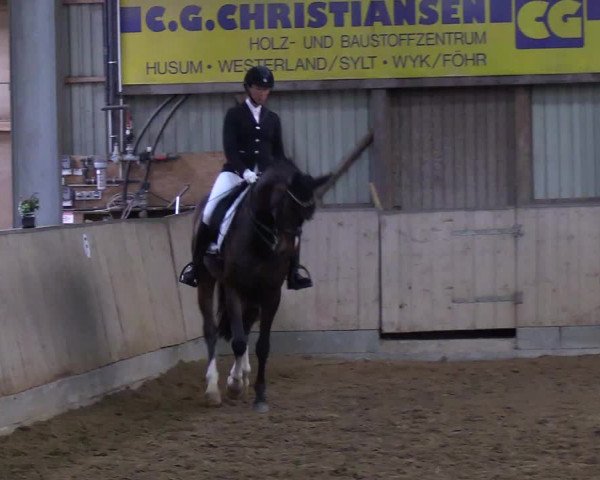 Reitturnier Löwenstedt 2019