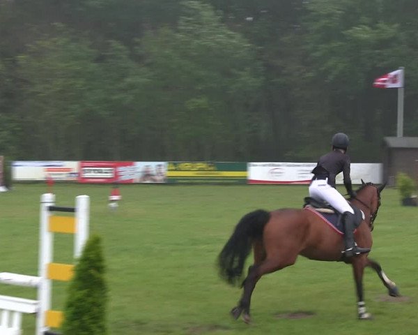 Reitturnier St. Peter-Ording 2019