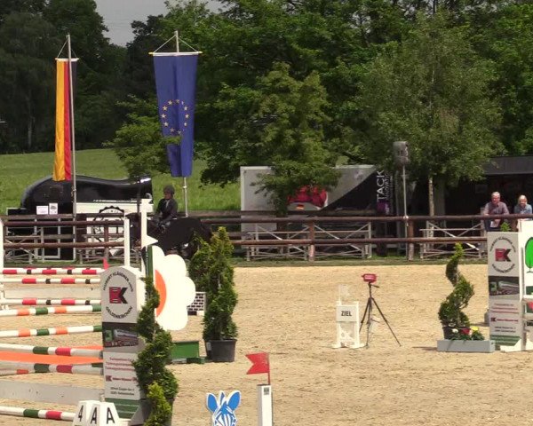 Reitturnier Kirchhellen/Stall Dieckmann 2019