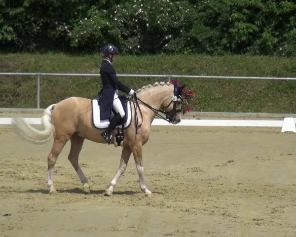 Reitturnier Ladenburg 2019