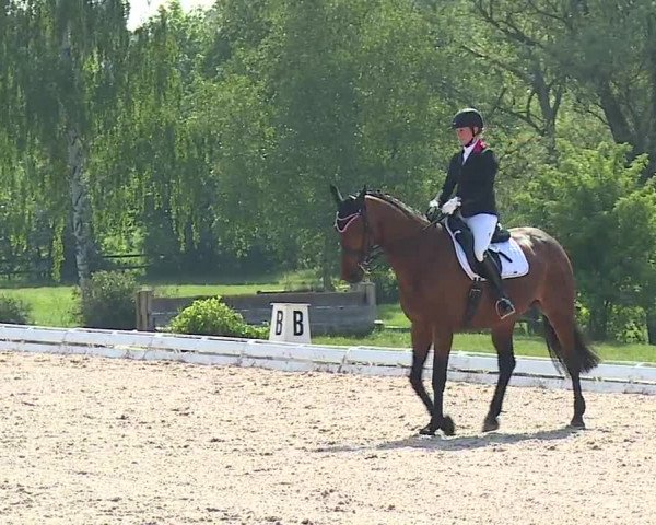 Reitturnier Ansbach/Mfr. 2019