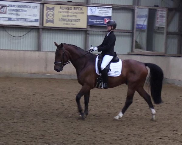 Reitturnier Löwenstedt 2019