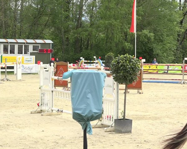 Reitturnier Isny-Rohrdorf 2019