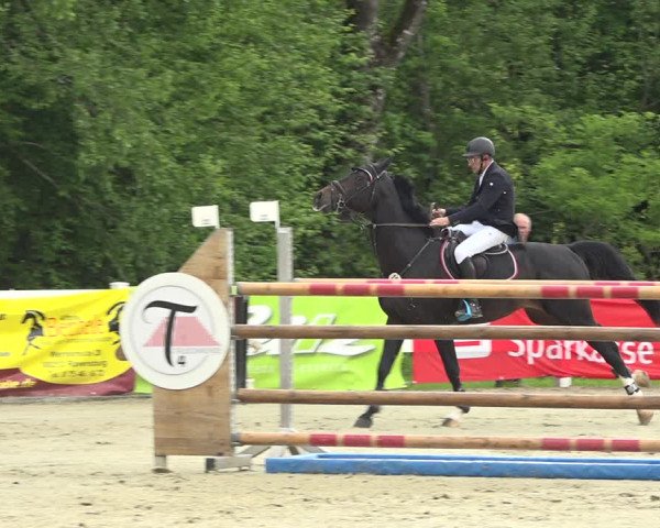 Reitturnier Isny-Rohrdorf 2019