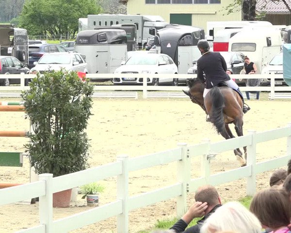Reitturnier Isny-Rohrdorf 2019