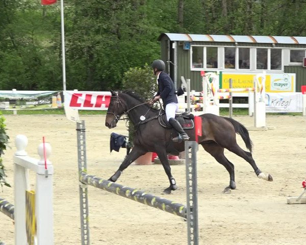 Reitturnier Isny-Rohrdorf 2019