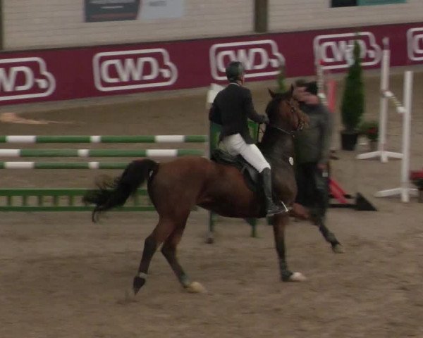 Reitturnier Heilbronn 2021