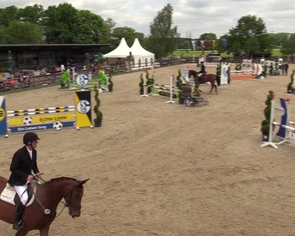 Reitturnier Kirchhellen/Stall Dieckmann 2019