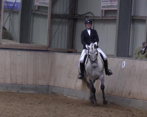 Reitturnier Löwenstedt 2019