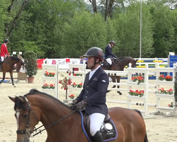 Reitturnier Isny-Rohrdorf 2019