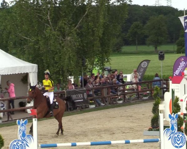 Reitturnier Kirchhellen/Stall Dieckmann 2019