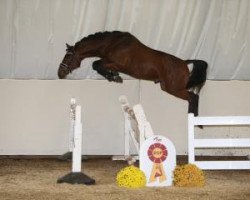 Deckhengst Emerald jr. (Westfale, 2014, von Emerald van 't Ruytershof)