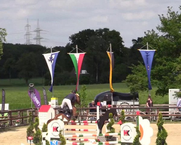 Reitturnier Kirchhellen/Stall Dieckmann 2019