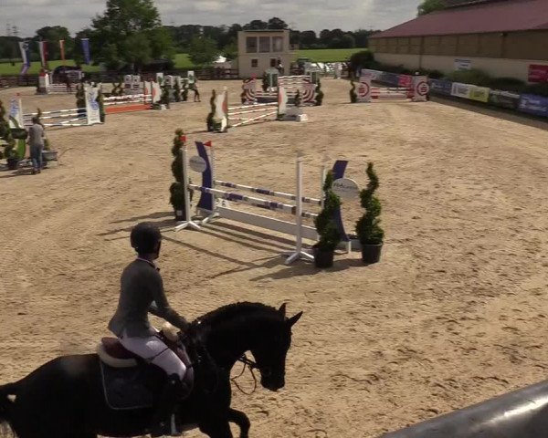 Reitturnier Kirchhellen/Stall Dieckmann 2019