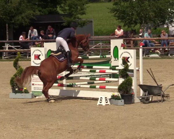 Reitturnier Kirchhellen/Stall Dieckmann 2019