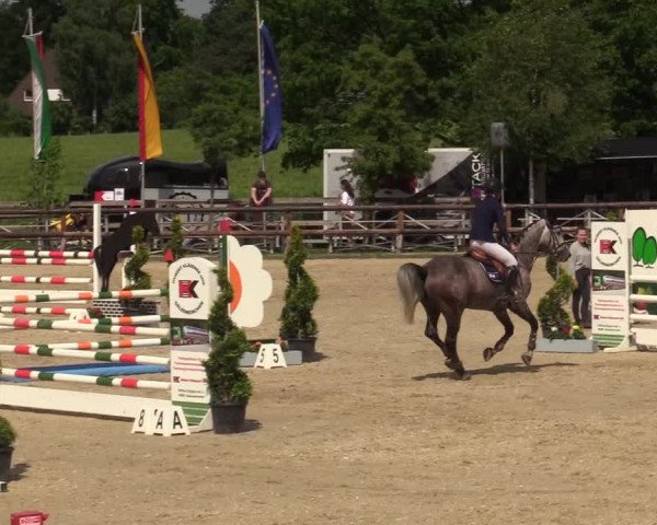 Reitturnier Kirchhellen/Stall Dieckmann 2019