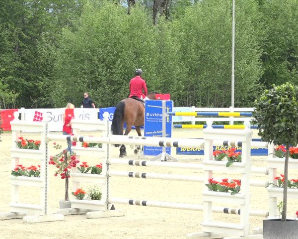 Reitturnier Isny-Rohrdorf 2019