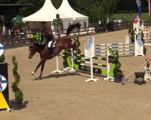Reitturnier Kirchhellen/Stall Dieckmann 2019