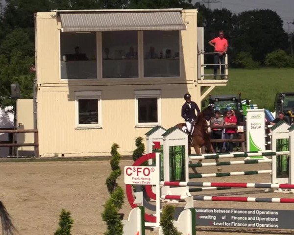 Reitturnier Kirchhellen/Stall Dieckmann 2019