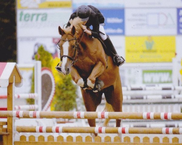 Springpferd Epke 5 (KWPN (Niederländisches Warmblut), 2009, von Couleur Rouge)