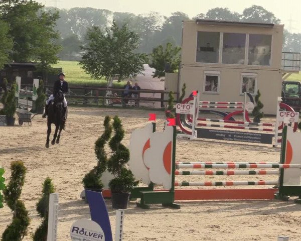 Reitturnier Kirchhellen/Stall Dieckmann 2019