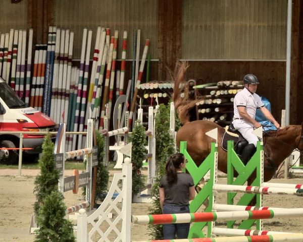 Reitturnier Herxheim 2019