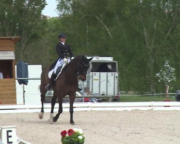 Reitturnier Ansbach/Mfr. 2019