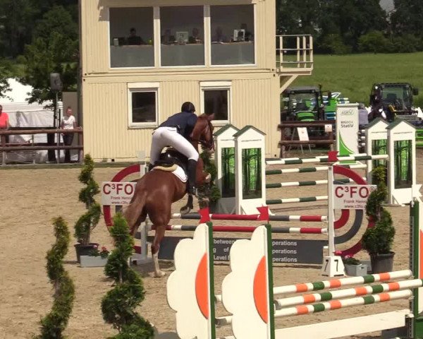 Reitturnier Kirchhellen/Stall Dieckmann 2019