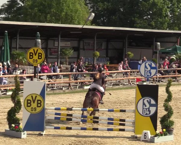 Reitturnier Kirchhellen/Stall Dieckmann 2019