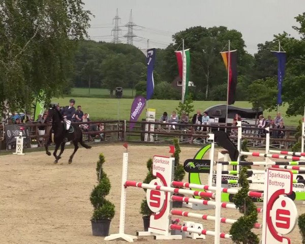 Reitturnier Kirchhellen/Stall Dieckmann 2019