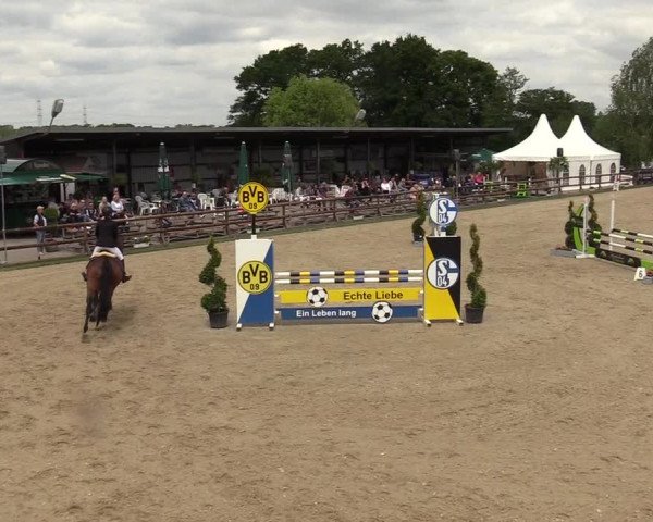 Reitturnier Kirchhellen/Stall Dieckmann 2019