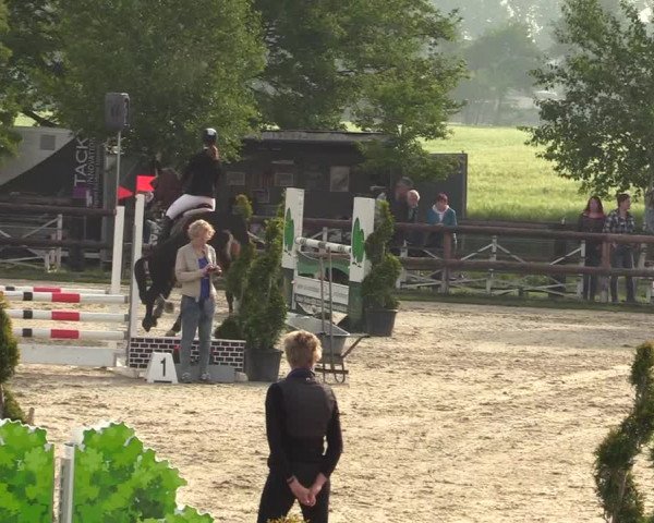 Reitturnier Kirchhellen/Stall Dieckmann 2019